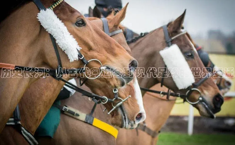 威廉williamhill官网在线登录赛富乐斯历史长河：从古代奥运会到现代足球的世界变迁