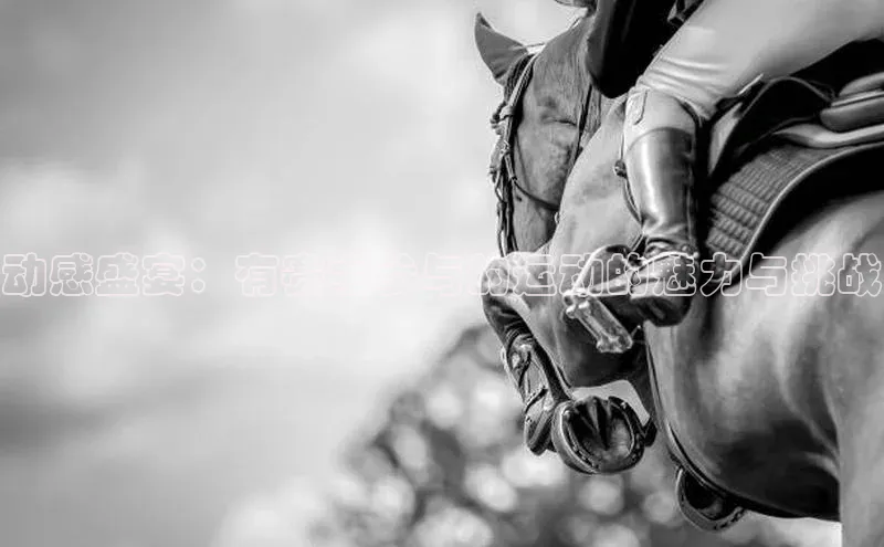 威廉希尔体育官网登录入口携程动感盛宴：有赛事参与的运动的魅力与挑战