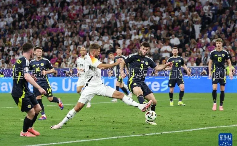 极速运动：最新运动快艇赛事全面更新与前瞻