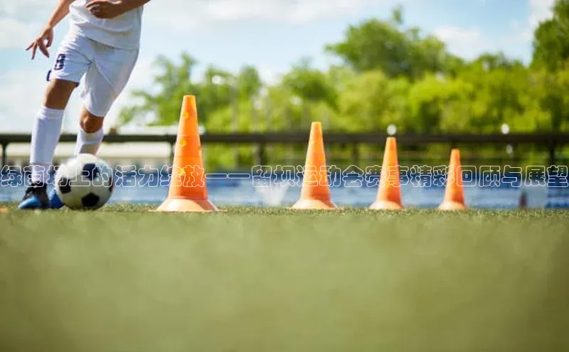 绿茵场上的活力绽放——留坝运动会赛事精彩回顾与展望