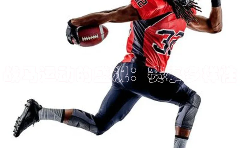 战马运动的盛况：赛事多样性