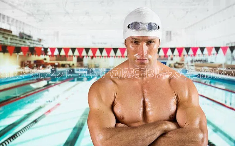 捕捉生命之力：动物运动赛事图片大全高清欣赏