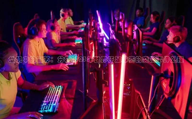 危机中的复苏：分析2023年世界杯足球赛的突发事件处理