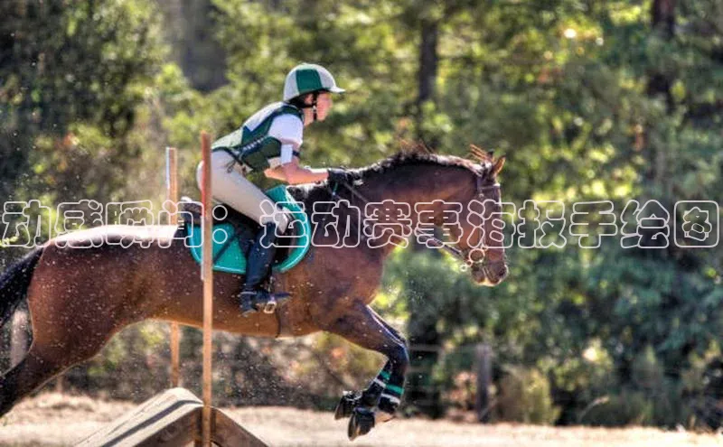 动感瞬间：运动赛事海报手绘图