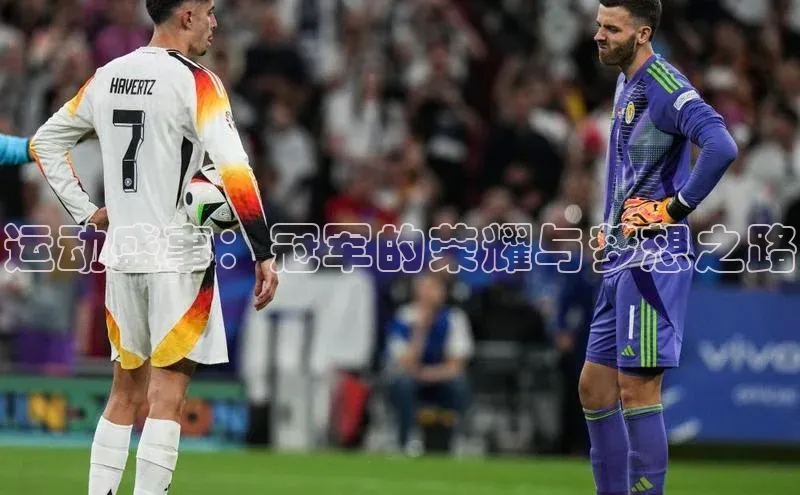 运动盛事：冠军的荣耀与梦想之路