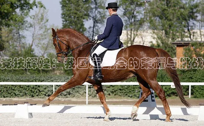 竞技辉煌：我国运动会的荣耀与挑战