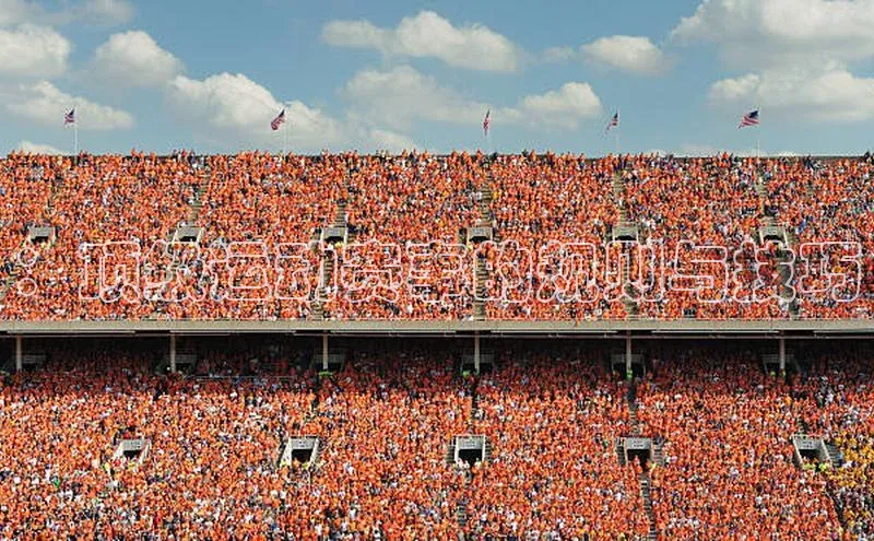 ：顶级运动赛事的规则与技巧