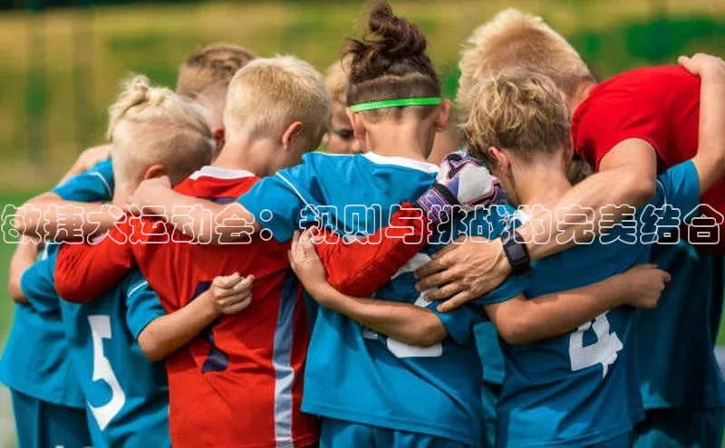 敏捷犬运动会：规则与挑战的完美结合