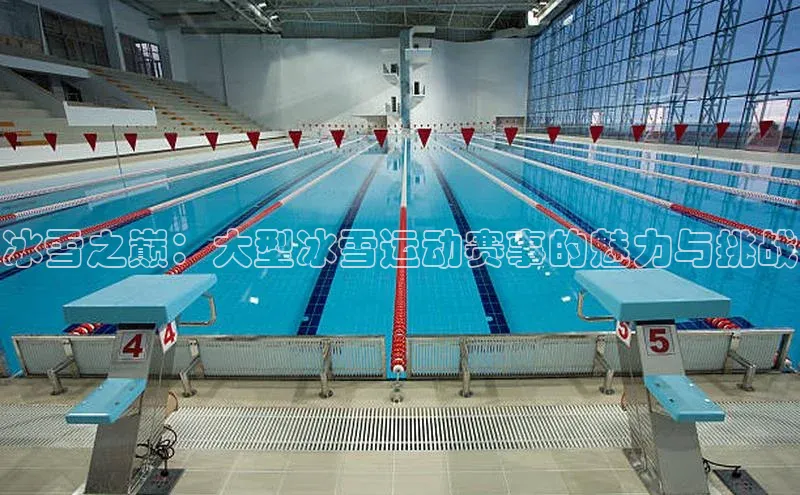 冰雪之巅：大型冰雪运动赛事的魅力与挑战