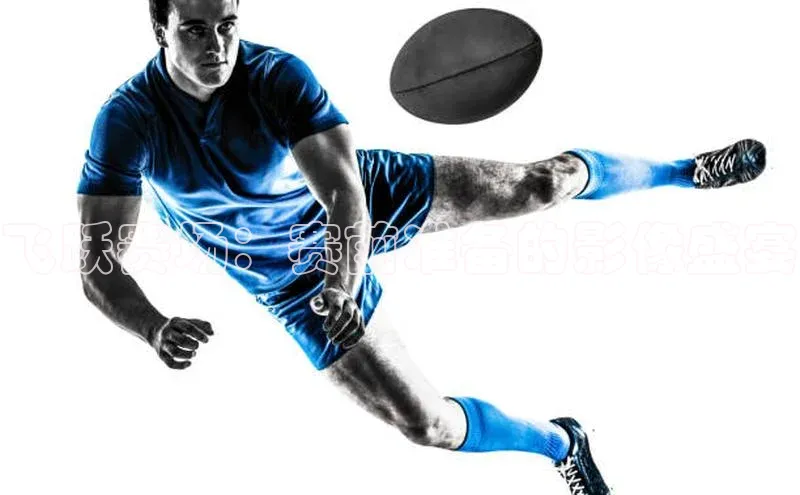 威廉希尔足球网